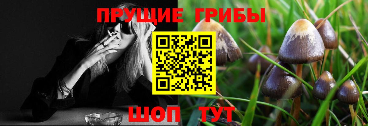 Галлюциногенные грибы мицелий  Вход с VPN  Псилоцибиновые грибы Psilocybe  Наро-Фоминск 